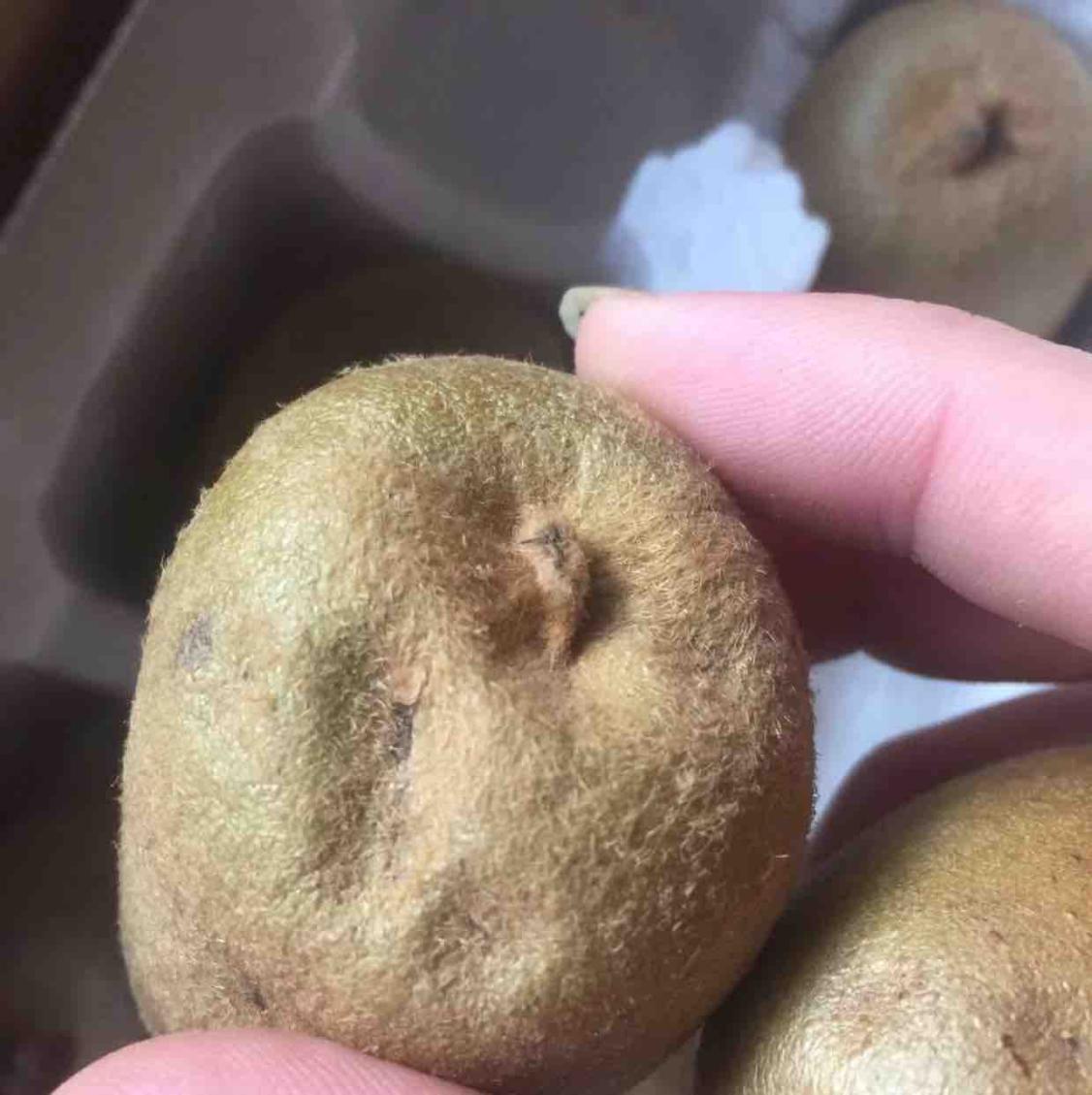 黄心猕猴桃中果15颗(单果约重70g-90g)